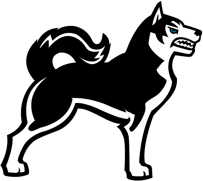 Northeastern Huskies 2001-2006 Alternate Logo v3 iron on transfers for clothing
